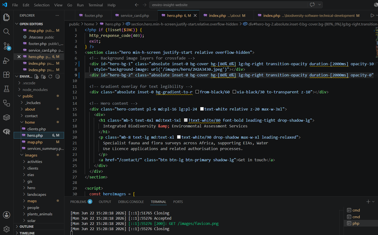 Software development environment
